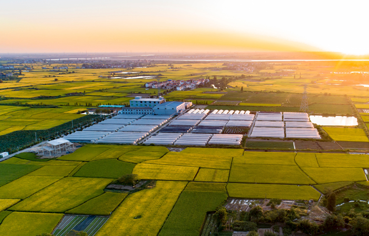 1673148909677248.jpg 新聞圖-11.jpg