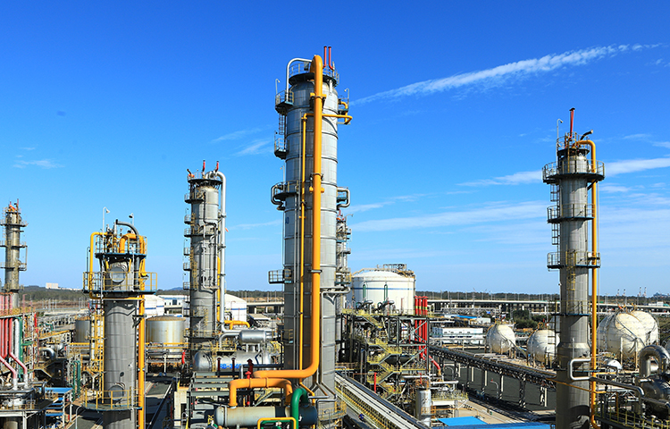 1698391069348421.jpg 新聞圖-11.jpg